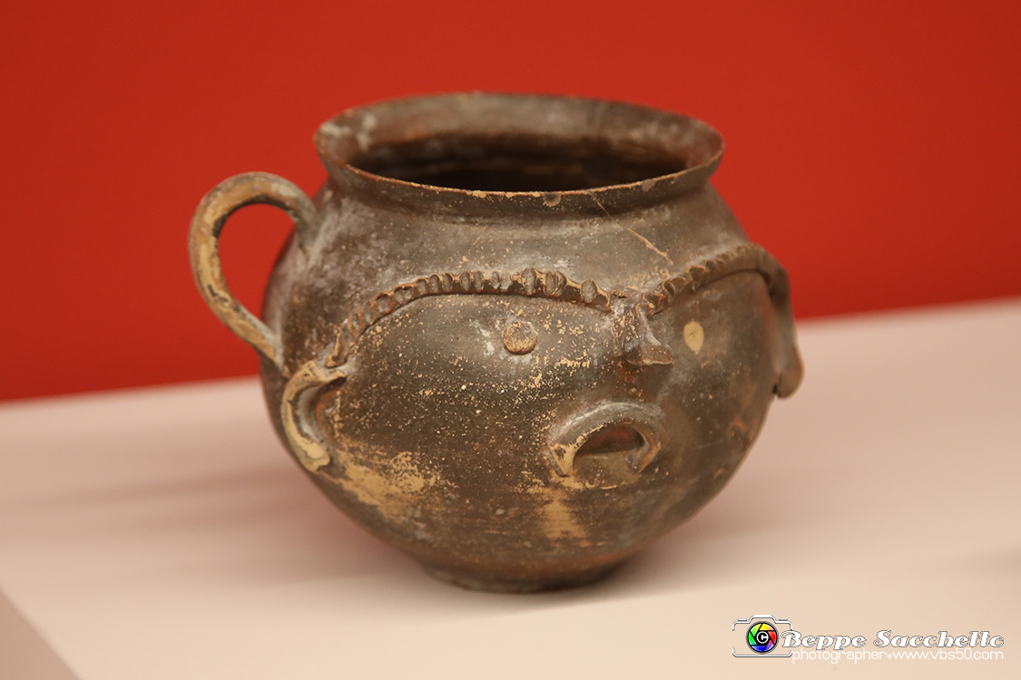 VBS_8881 - Mostra Invito a Pompei.jpg